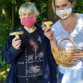 Zväčšiť fotografiu - Zber hríbov učaril aj klientom považskobystrického centra sociálnych služieb - 118876828_2438615073108663_5046730827573466075_n