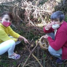 Zväčšiť fotografiu - Zber hríbov učaril aj klientom považskobystrického centra sociálnych služieb - 119037233_754314498464621_8355494081133437123_n