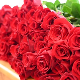 Zväčšiť fotografiu - Ženy v centre pozornosti aj na krajskom úrade