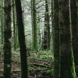 Zväčšiť fotografiu - Zhasnutím pamiatok si aj tento rok pripomenieme hodinu zeme - arnaud-steckle-47Wkhmejcy0-unsplash