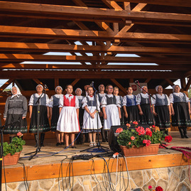 Zväčšiť fotografiu - Žiadosti o dotácie sa podávajú v zmenenej podobe - TSK_nedela_08_22_mini__83_of_83_
