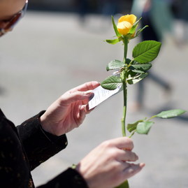 Žlté ruže zaplavili trenčín - Deň Európy (9)_resize