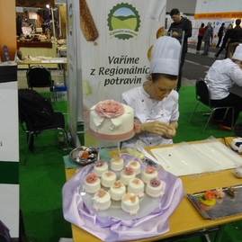 Výstava regiontour 2015 v brne - DSC04947