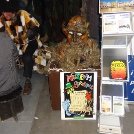 Výstava regiontour 2015 v brne - DSC04967