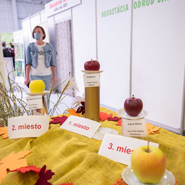 Zväčšiť fotografiu - Najlepšie jabĺčka rastú aj v trenčianskom kraji - TSK_Jeseň v záhrade_otvorenie-11