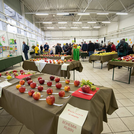 Zväčšiť fotografiu - Najlepšie jabĺčka rastú aj v trenčianskom kraji - TSK_Jeseň v záhrade_otvorenie-3