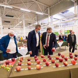 Zväčšiť fotografiu - Najlepšie jabĺčka rastú aj v trenčianskom kraji - TSK_Jeseň v záhrade_otvorenie-35
