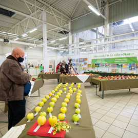 Zväčšiť fotografiu - Najlepšie jabĺčka rastú aj v trenčianskom kraji - TSK_Jeseň v záhrade_otvorenie-5