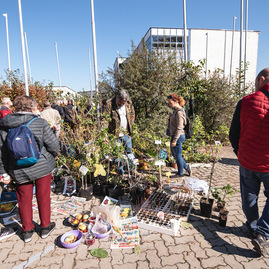 Zväčšiť fotografiu - Najlepšie jabĺčka rastú aj v trenčianskom kraji - TSK_Jeseň v záhrade_otvorenie-60