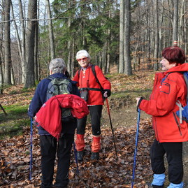 Osobnosť cr 2014 - marta trebatická - Trebatická turistika 2012 3_resize