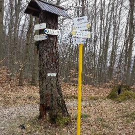 Takmer 150 km cyklotrás v tsk má nové alebo obnovené značenie - image8