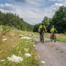 Zväčšiť fotografiu - 