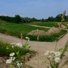 Kraj šliape do pedálov a usilovne pracuje na medzinárodnej cyklotrase, ktorá spojí dve krajiny, kraje i dva hrady - 20190617_cyklotrasa_TN_NEMSOVA_048w