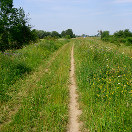 Kraj šliape do pedálov a usilovne pracuje na medzinárodnej cyklotrase, ktorá spojí dve krajiny, kraje i dva hrady - 20190617_cyklotrasa_TN_NEMSOVA_060w