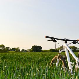 Piaty ročník populárnej súťaže do práce na bicykli absolvujú opäť aj zamestnanci trenčianskej župy, a to historicky s najväčším počtom tímov - stefan-rayner-98149