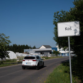 Zväčšiť fotografiu - Poddolované územie v koši pomaličky ožíva - 20230703_Kos_cesta_001w
