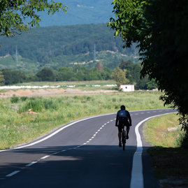 Zväčšiť fotografiu - Poddolované územie v koši pomaličky ožíva - 20230703_Kos_cesta_005w