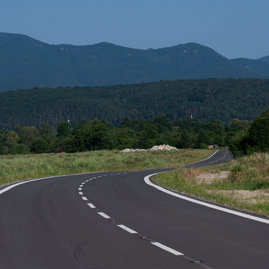 Zväčšiť fotografiu - Poddolované územie v koši pomaličky ožíva - 20230703_Kos_cesta_025w