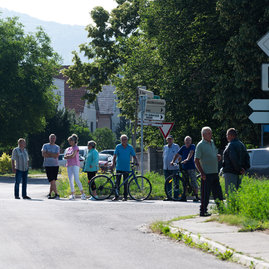 Zväčšiť fotografiu - Poddolované územie v koši pomaličky ožíva - 20230703_Kos_cesta_031w