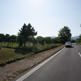 Zväčšiť fotografiu - Poddolované územie v koši pomaličky ožíva - 20230703_Kos_cesta_033w