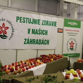 Areál výstaviska expo center dnes a zajtra ovládne zdravý životný štýl - IMG_7812