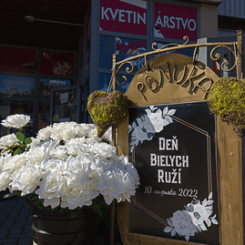 Zväčšiť fotografiu - Banské mestečko sa opäť zahalí do bielych ruží - TSK_Deň bielych ruží 2022 (38 of 38)