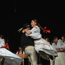 Zväčšiť fotografiu - Certifikát o zápise do reprezentatívneho zoznamu nkd slovenska už majú doma na myjave - TSK_FS Váh_50_mini-20