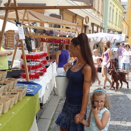 Dážď poznačil, ale neodradil otvorenie trenčianskych historických slávností - DSC00015_resize