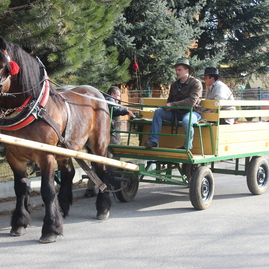 Fašiangy v trenčianskej turnej boli bohaté: na zabíjačkové špeciality bolo použitých až 400kg mäsa - IMG_9902