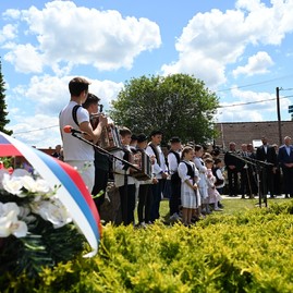 Zväčšiť fotografiu - 