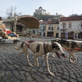 Horyzonty opäť s najúspešnejším dokumentaristom festivalu a rodákom z trenčianskeho kraja pavlom barabašom a bohatým sprievodným programom - DSC_5671
