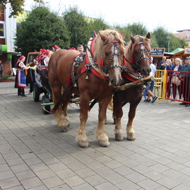 Jubilejný desiaty farmársky festival mňamfest opäť podporí aj trenčianska župa - IMG_0550