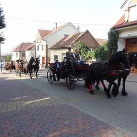 Kvalitu hľadajme doma - 1_resize