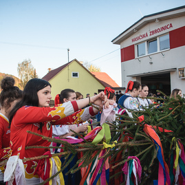 Zväčšiť fotografiu - Mestá a obce v kraji hýria farbami - TSK_pretek kurierov_maj_mini-83