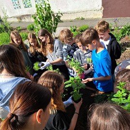 Zväčšiť fotografiu - 20.Vysadba vyvyseneho zahonu pred VM 6.5.2024 (Zdroj: Vlastivedné múzeum v Považskej Bystrici)