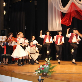 Na považí ocenili prácu ľudí v oblasti kultúry - IMG_2682