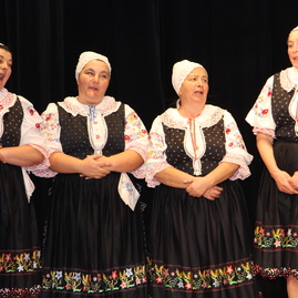 Na považí ocenili prácu ľudí v oblasti kultúry - IMG_2709
