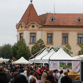O kultúru v kraji cez víkend nebola núdza; nechýbali jarmoky, regionálne slávnosti, dni obcí ani vychýrený mňamfest - IMG_0540