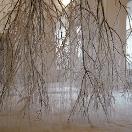 Zväčšiť fotografiu - 