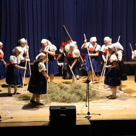 Posledná januárová sobota v kraji patrila heligónkam a folklórnym skupinám - STANKOVCEIMG_9408