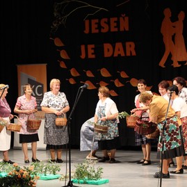 Pozitívna energia, nadšenie a radosť sprevádzali 19. ročník podujatia jeseň je dar v zemianskych kostoľanoch - IMG_4933