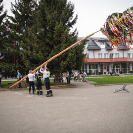 Zväčšiť fotografiu - Rastú ako huby po daždi! - TSK_Máje 2022-22