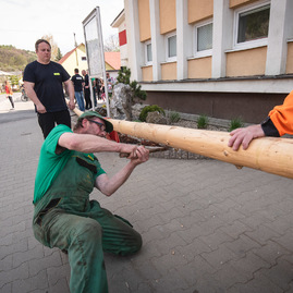 Zväčšiť fotografiu - Rastú ako huby po daždi! - TSK_Máje 2022-32