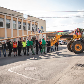 Zväčšiť fotografiu - Rastú ako huby po daždi! - TSK_Máje 2022-51