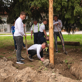 Zväčšiť fotografiu - Rastú ako huby po daždi! - TSK_máje 22 doplnok-1