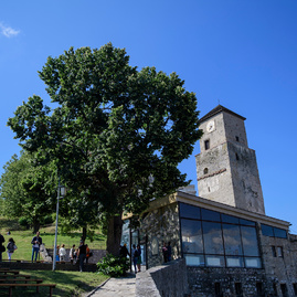 Skleníku na trenčianskom hrade definitívne odzvonilo, koncom roka bude už minulosťou - TN_hrad_sklenik_rekonstrukcia (2)