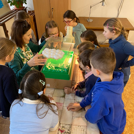 Zväčšiť fotografiu - Školáci spoznávali vodu v múzeu - Svetový deň vody (3)