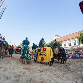 Trenčianske hradne slávnosti 2013 - Trenč.historické slávnosti 3.