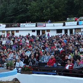 Trenčiansky župan otváral folklórny festival myjava 2015 - Myjava_2015_19_06_2015 (10)