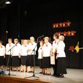V zemianskych kostoľanoch vystúpila tridsiatka seniorských speváckych skupín - IMG_4762